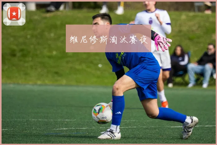维尼修斯淘汰赛夜