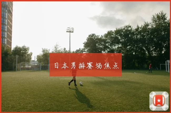 日本男排赛场焦点