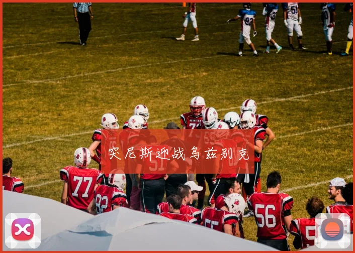 突尼斯迎战乌兹别克