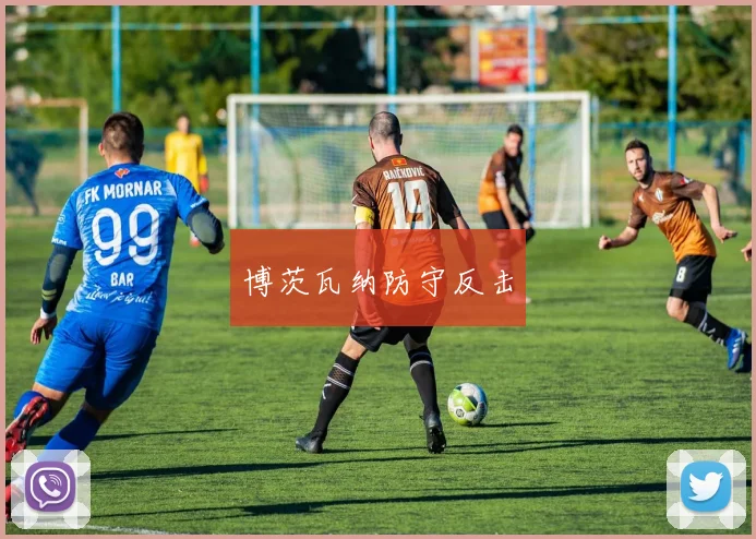博茨瓦纳防守反击
