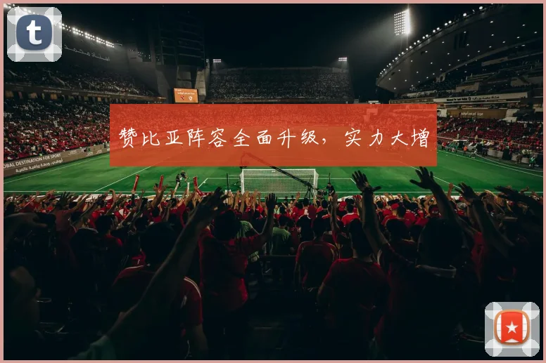 赞比亚阵容全面升级，实力大增
