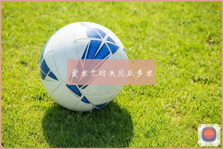 爱尔兰对决厄瓜多尔