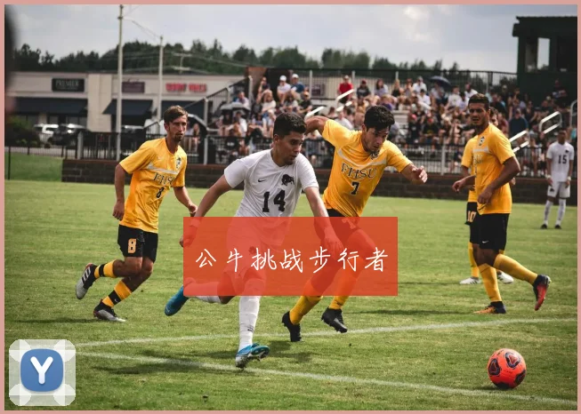 公牛挑战步行者