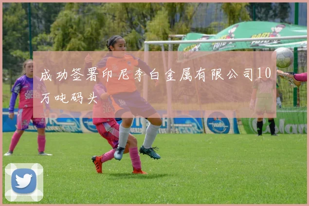 成功签署印尼李白金属有限公司10万吨码头