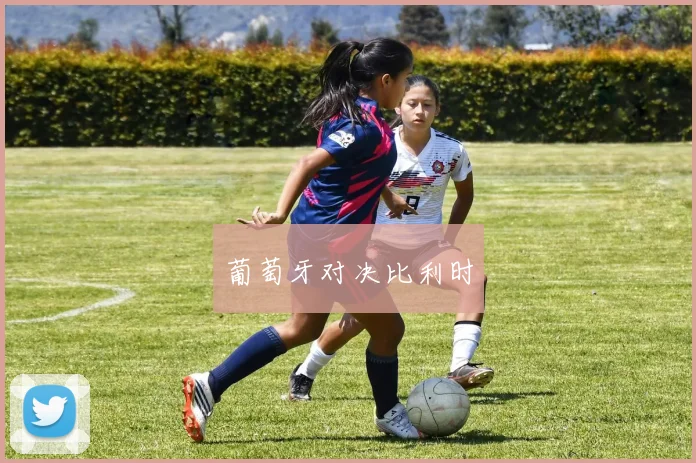 葡萄牙对决比利时