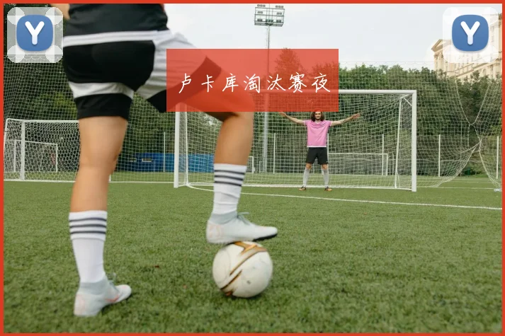 卢卡库淘汰赛夜