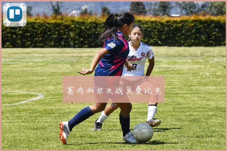 塞内加尔决战莫桑比克