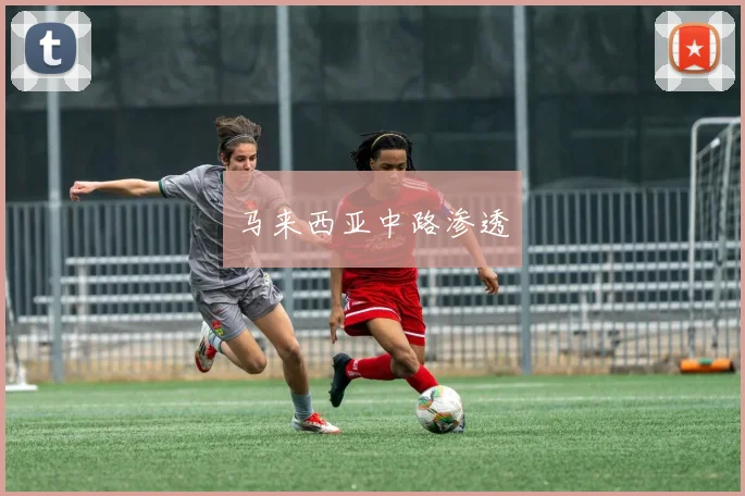 马来西亚中路渗透