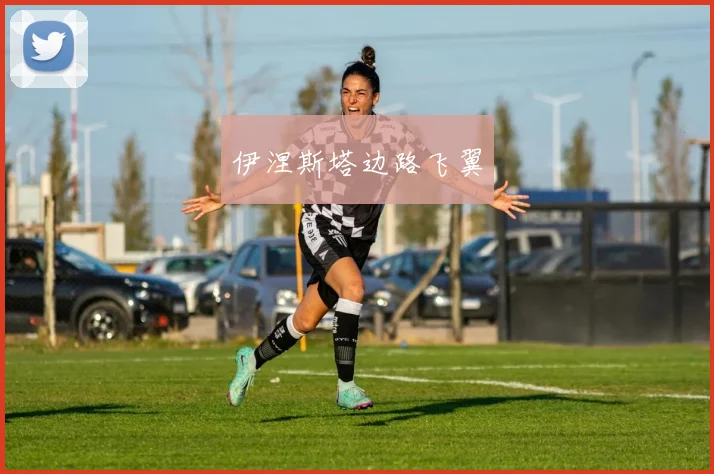 伊涅斯塔边路飞翼