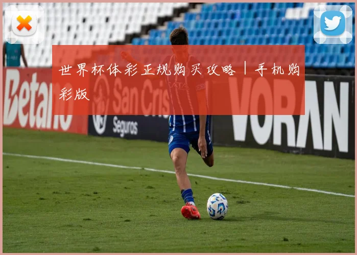 世界杯体彩正规购买攻略｜手机购彩版