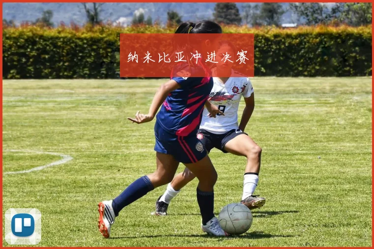 纳米比亚冲进决赛