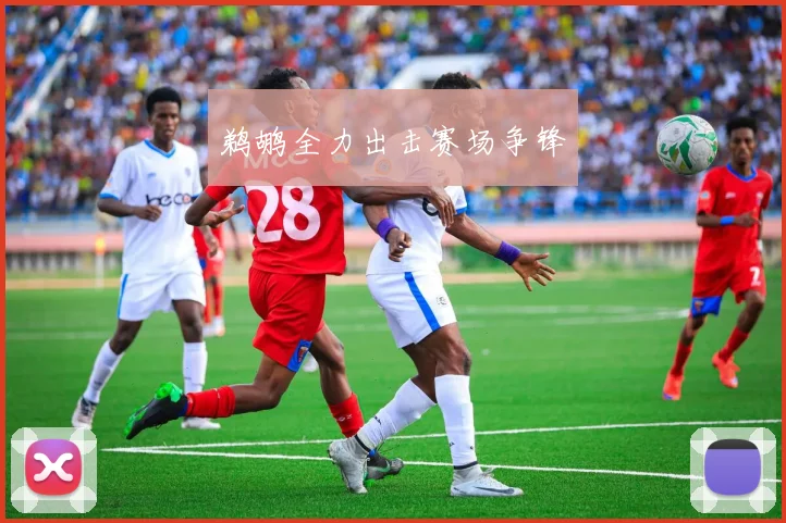 鹈鹕全力出击赛场争锋