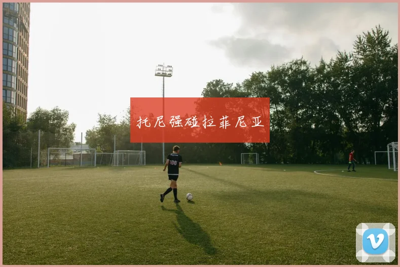 托尼强碰拉菲尼亚