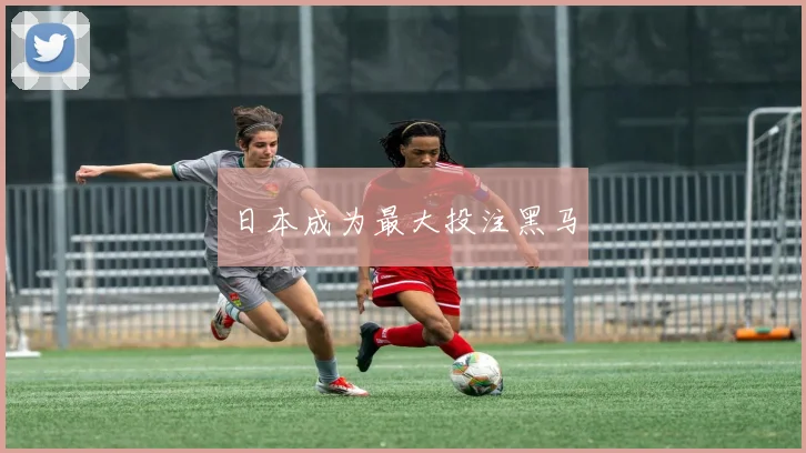 日本成为最大投注黑马