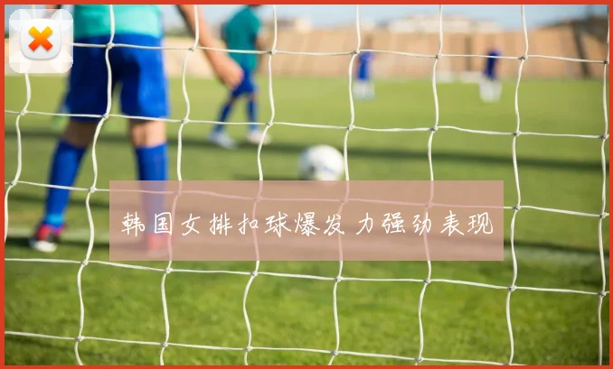 韩国女排扣球爆发力强劲表现