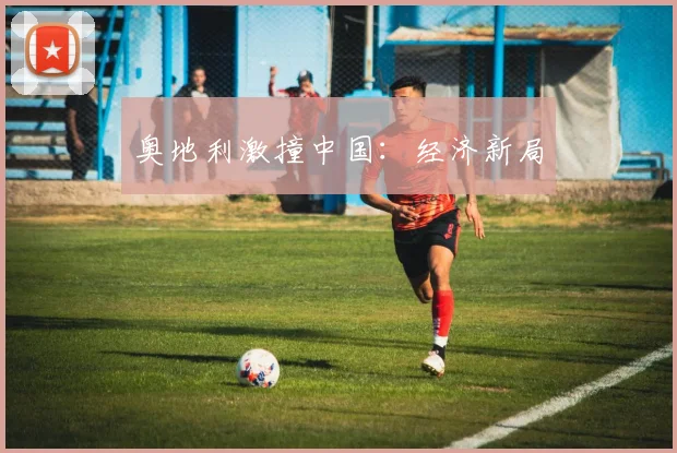 奥地利激撞中国：经济新局