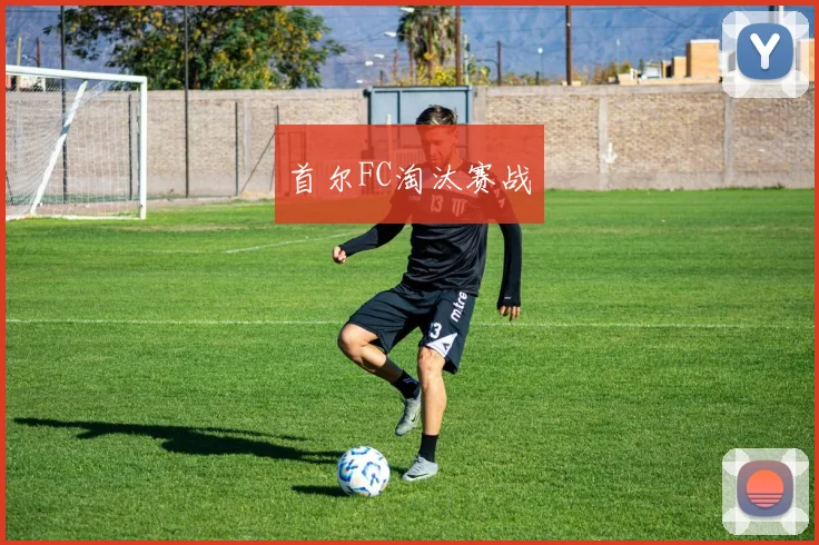 首尔FC淘汰赛战
