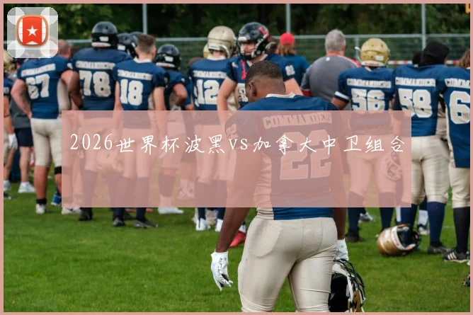 2026世界杯波黑vs加拿大中卫组合