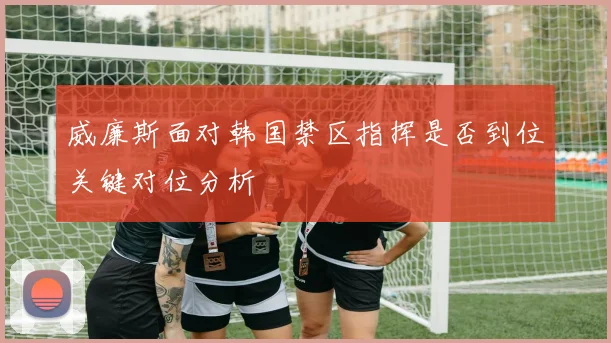 威廉斯面对韩国禁区指挥是否到位关键对位分析