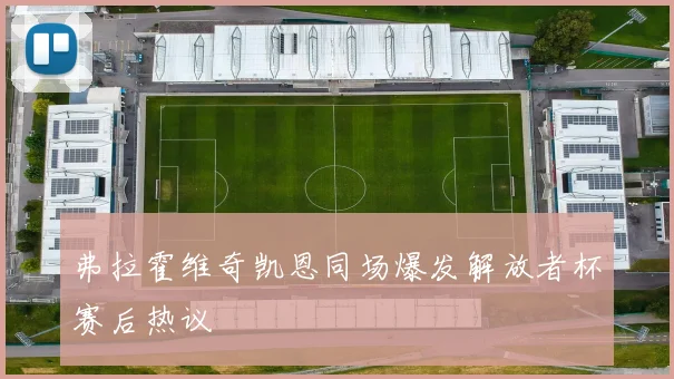 弗拉霍维奇凯恩同场爆发解放者杯赛后热议