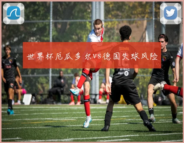 世界杯厄瓜多尔vs德国失球风险