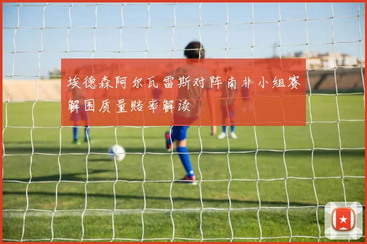 埃德森阿尔瓦雷斯对阵南非小组赛解围质量赔率解读