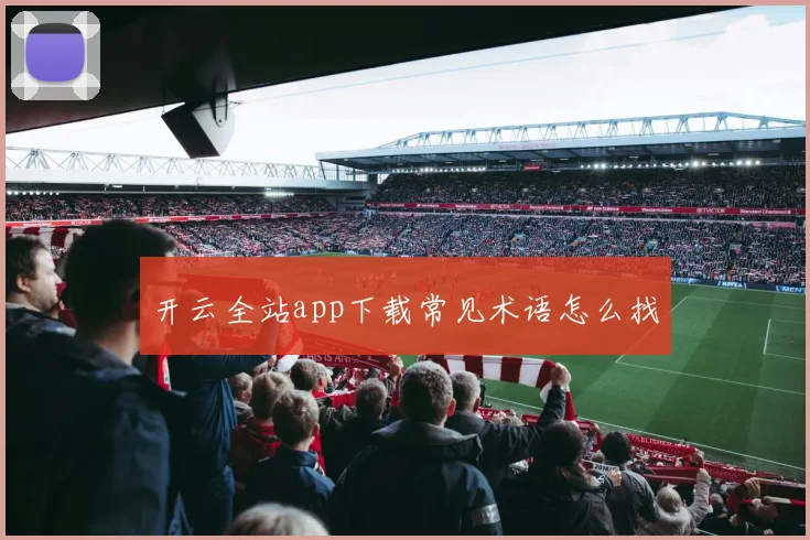 开云全站app下载常见术语怎么找