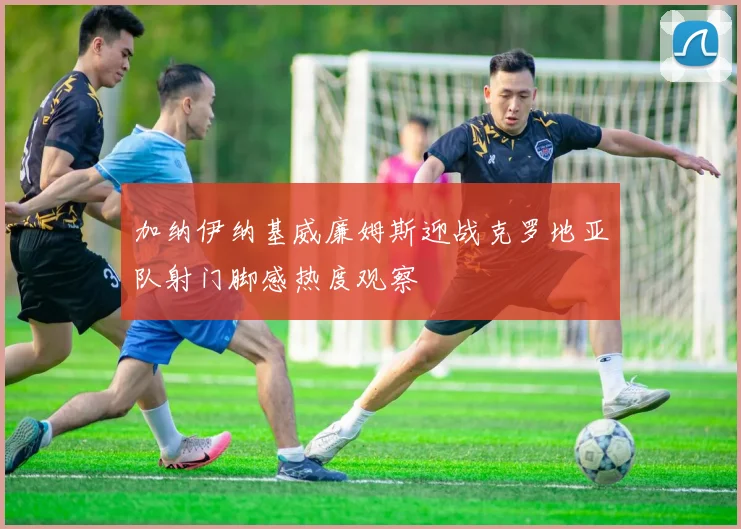 加纳伊纳基威廉姆斯迎战克罗地亚队射门脚感热度观察
